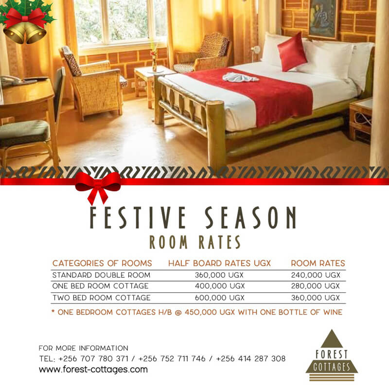 Forest-Cottages-Special-Festive Season Offer__ (1)